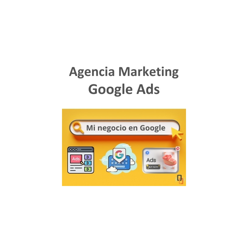 Agencia Google Ads Puebla de San Miguel, Valencia