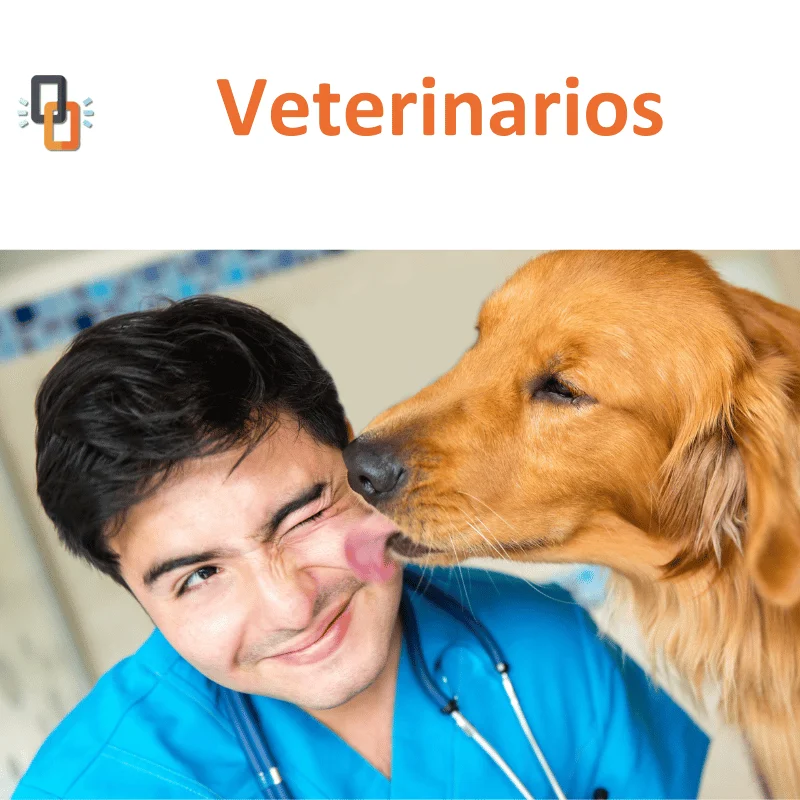 Directorio empresas veterinarios